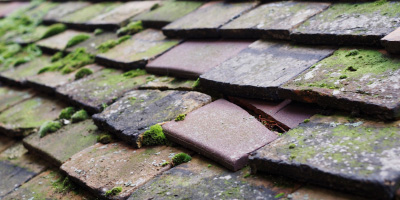 Oxford roof repair costs